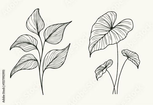 Illustrator Artwork Hand Drawn Vintage Sketch Drawing, green leaves Line Art, Plants Collection branches Floral elements, set of Botanical Illustration Outline leaf, branch Black And White leaves