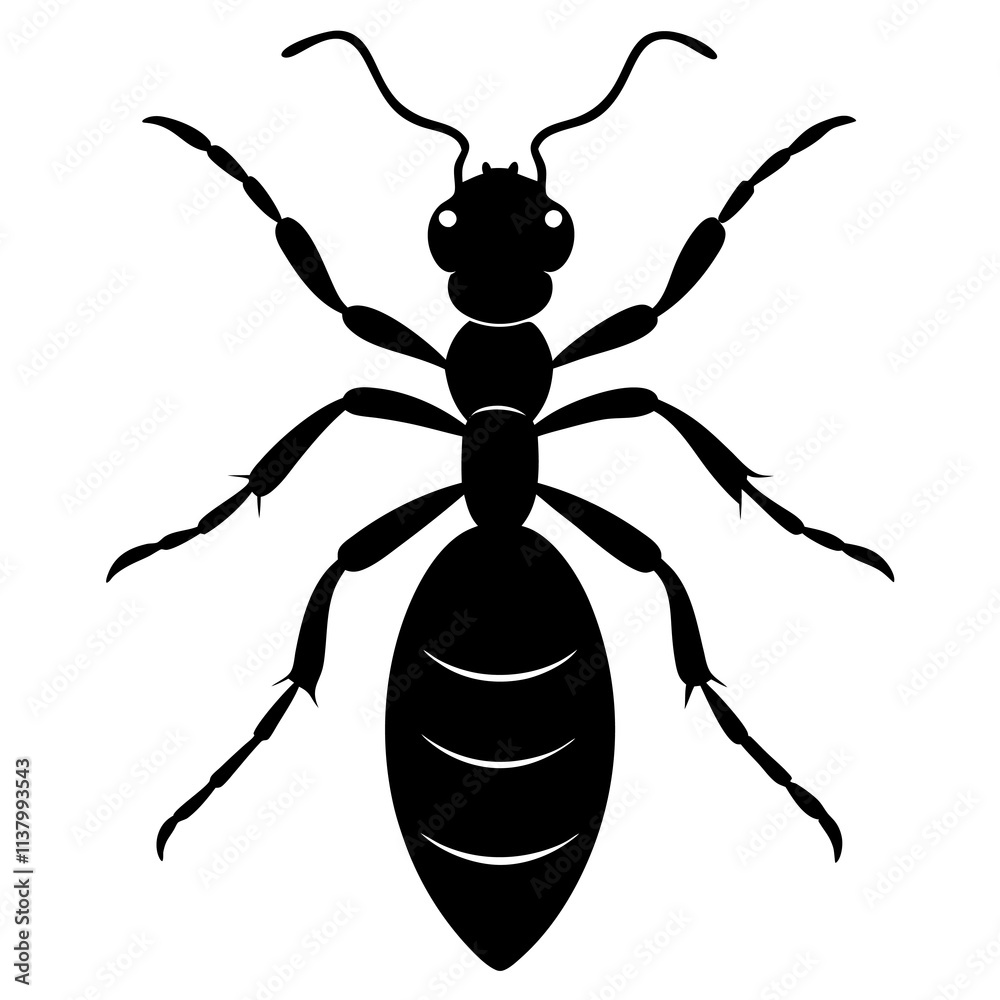 Ant Silhouette vector illustration Ant Silhouette vector illustration