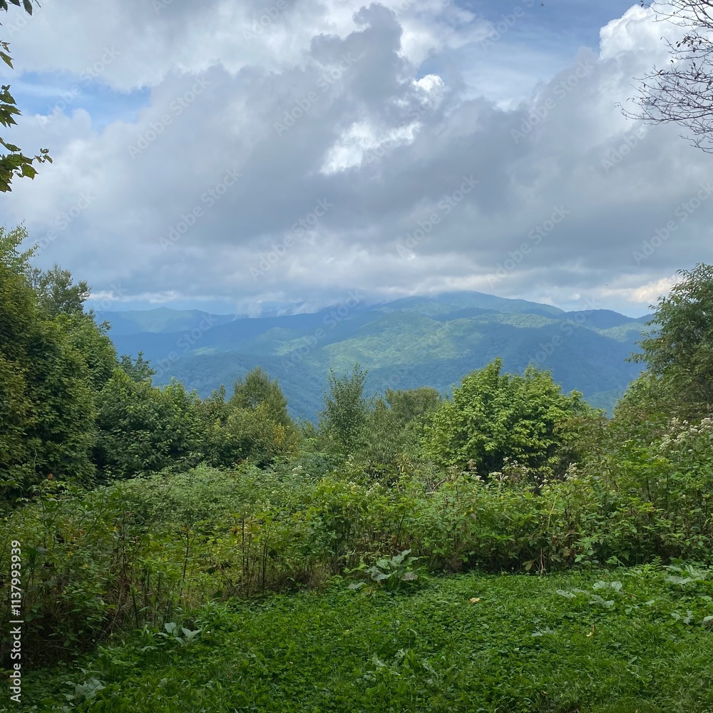 Great Smoky Mountains