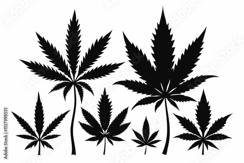 cannabis leaf vector illustration