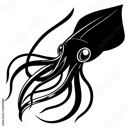 squid photo