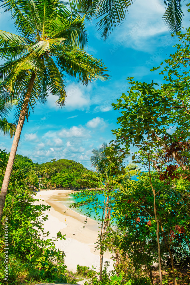 Obraz premium Tropical sandy beach with turquoise waters, palm trees and green foliage under a bright blue sky with nobody. Freedom beach in Phuket island, Thailand. Vertical orientation