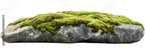 Wallpaper Mural Moss-covered rock with lush green texture, natural stone surface, vibrant moss growth, earthy tones, isolated on white background, isolated on transparent background, png Torontodigital.ca