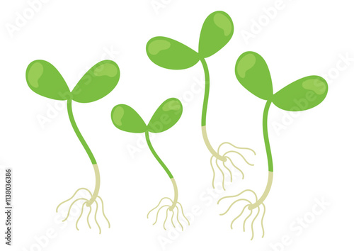 Germinated seeds print. Little sprouts isolated on white background. Growing plants germination process. Vector illustration
