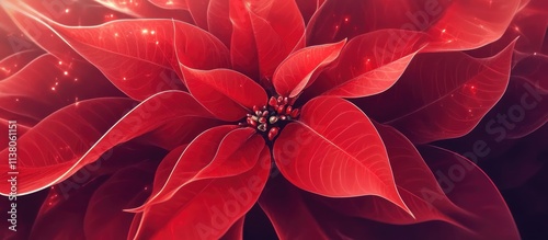 Vibrant red poinsettia flower symbolizing Christmas joy and festive spirit with rich detailed petals and natural elegance
