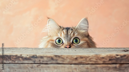 A curious cat peeking over a wooden surface against a soft pastel background.