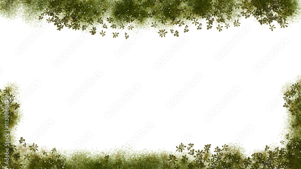 Obraz premium Grass Frame Border