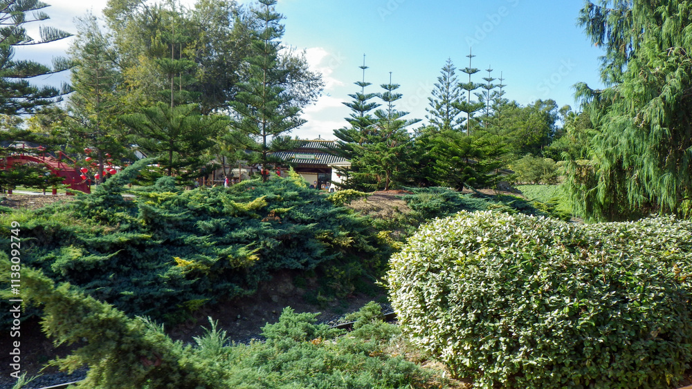 Fototapeta premium Lush greenery in a serene outdoor setting