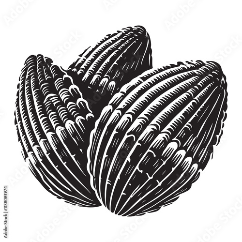 Barnacle Silhouette Vector Illustration, Solid White Background.