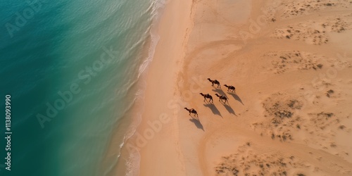 Fototapeta Naklejka Na Ścianę i Meble -  A birds-eye view of camels scattered across the sandy expanse of the Doha Peninsula