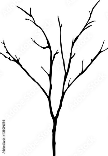 Dry branch tree with multiple twisted limbs against a plain background