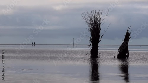 Wegmarkierungen durchs Wattenmeer bei Ebbe, Nordsee, Gezeiten, Wattwanderweg photo