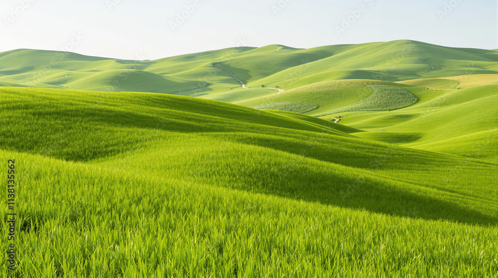 Fototapeta premium Beautiful green hills covered in lush grass with soft sunlight, blue sky in the background. Concept of nature, tranquility, and landscapes. Ai generative