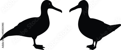 Albatross icon and logo silhouette set vector art and using black color illustration design