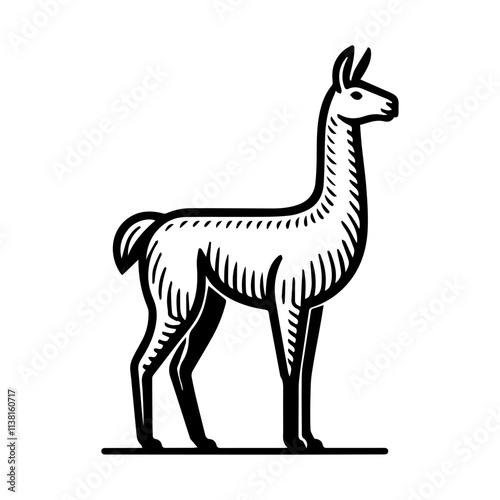 Simple Vector Icon of a Chilean Guanaco – Logo Design Illustration