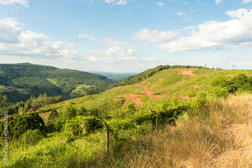 Mountain landscape with native forest and deforestation from timber harvesting in Sao Francisco de Paula, South of Brazil photo