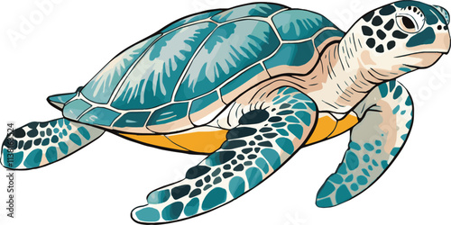 Vector illustration of a cartoon animation of sea turtle, painted in watercolor, isolated on a transparent background.