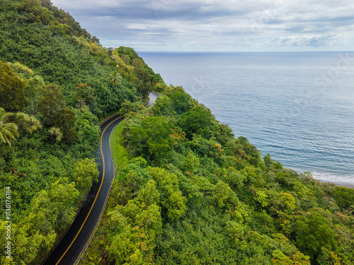 Bird view to the Hawaiian Island of Maui and fly with me along the road to Hana which is embedded into a green rainforest jungle