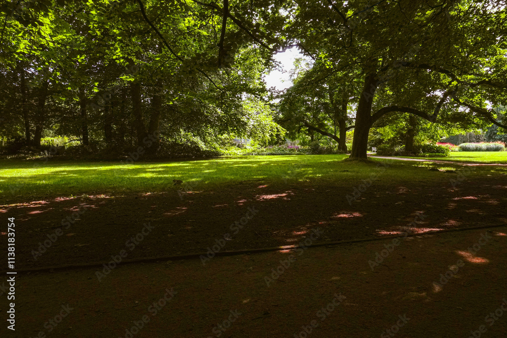 A green park shaded by trees, offering a quiet and peaceful atmosphere
