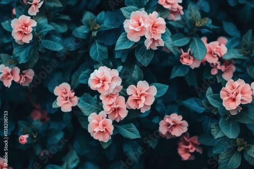 Pink flowers bloom in a lush garden.