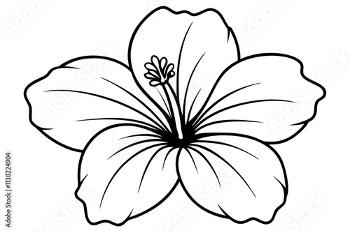 Hibiscus Flower Wide-open petals with a prominent central stamen vector silhouette on a white background