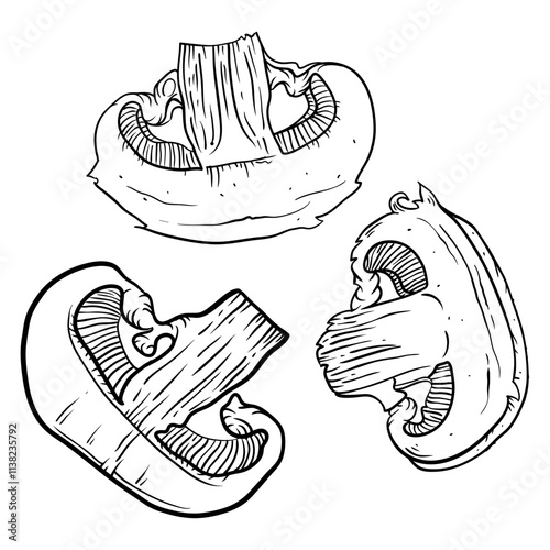 Pieces of champignons. Mushrooms hand-drawn in sketch style. Ingredients for dishes. Decoration for the menu or packaging. Vector illustration.