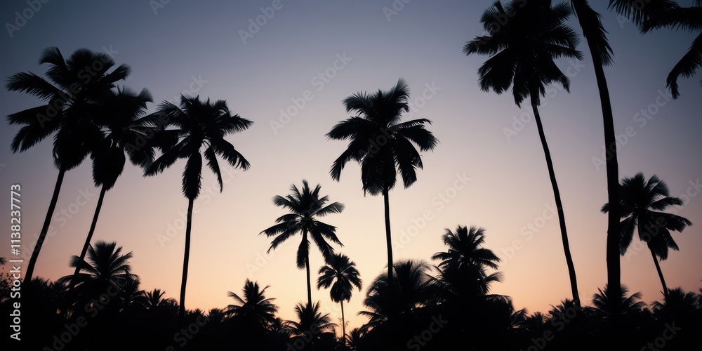 Silhouettes of palm trees against a soft, pastel sky at dusk, creating a tranquil and picturesque scene. Silhouettes of palm trees against a soft, pastel sky at dusk, creating a tranquil and picturesque scene.