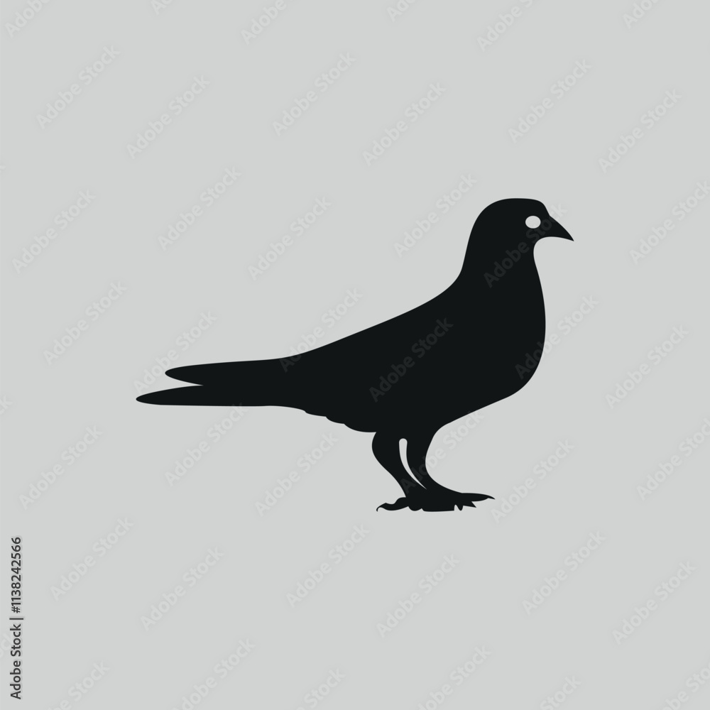 Fototapeta premium The pigeon design is hand drawn with Illustrator