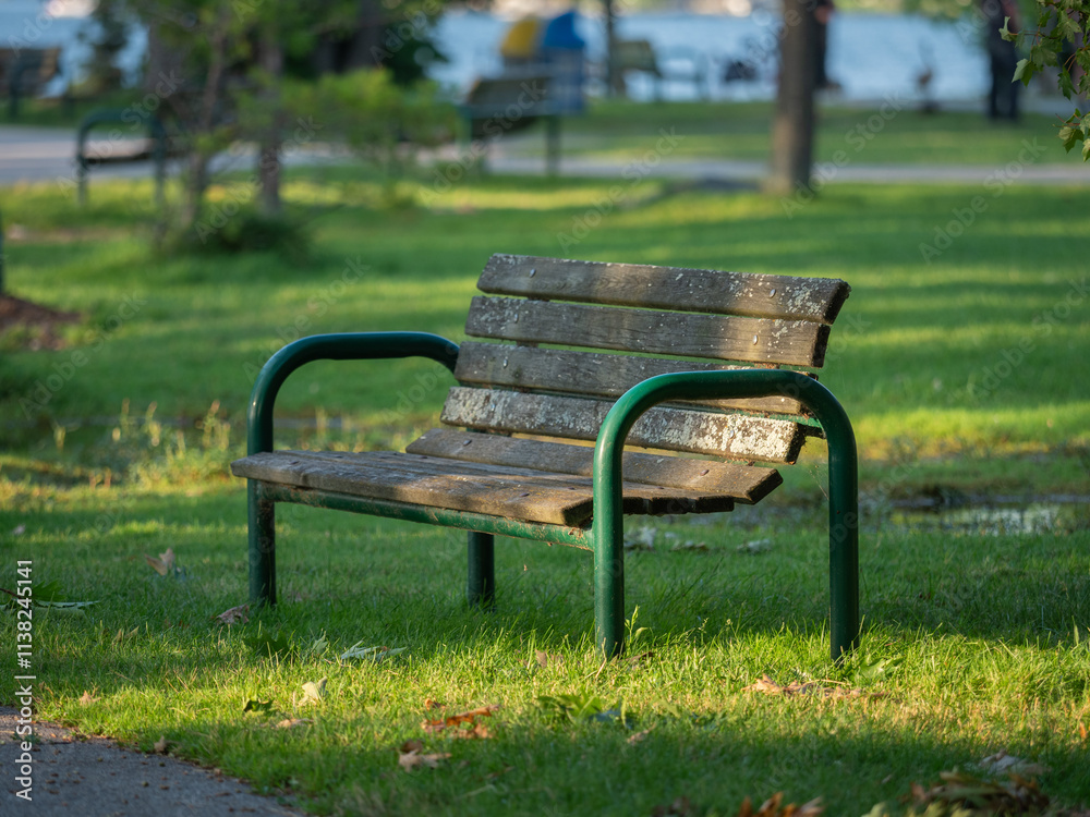 Serene Park Bench in Lush Green Setting Serene Park Bench in Lush Green Setting