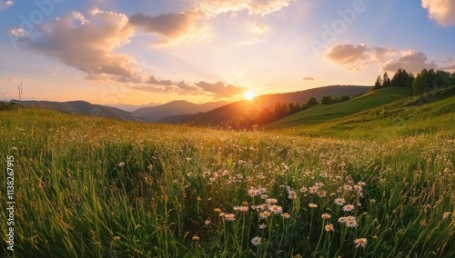 Sunset over Mountain Meadow with Wildflowers
