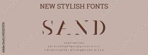 signature Font Calligraphy Logotype Script Brush Font Type Font lettering handwritten