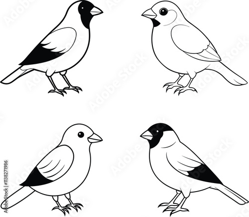 Wallpaper Mural Black and White Sparrow Bird Line Art Illustration Set Torontodigital.ca