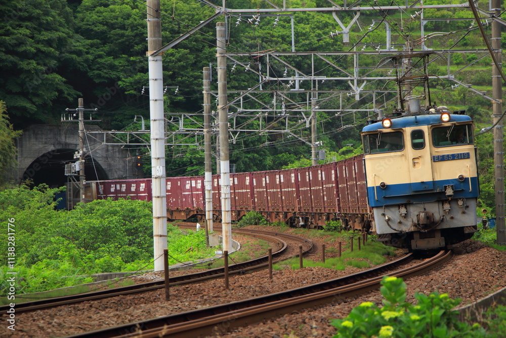 Obraz premium 雄大なカーブを走行するEF65-2119号機牽引の貨物列車_2013/5/25撮影