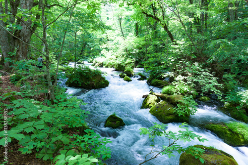 Summer green colors of Oirase River, located at Towada, Aomori, Japan