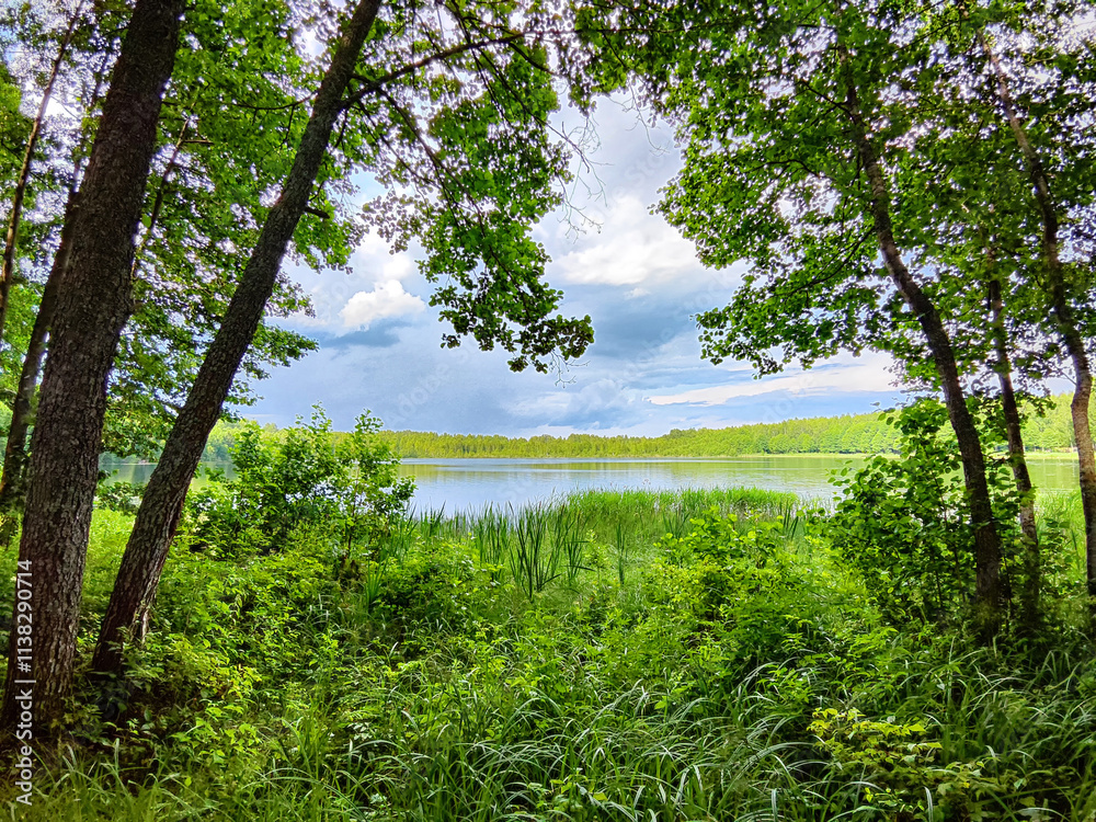 Serene view of a tranquil lake surrounded by lush greenery on a sunny day in early summer Serene view of a tranquil lake surrounded by lush greenery on a sunny day in early summer