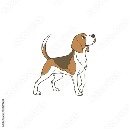 Beagle dog standing alertly on transparent