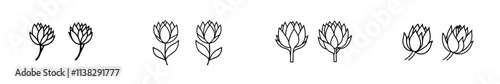 A hand-drawn ink sketch of an elegant protea flower, crafted in a modern engraving style.