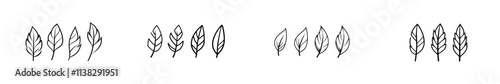 A collection of feathers etched in a sketch style, isolated on a white background. Vintage hand-drawn ink illustration.