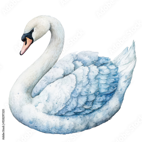 A beautifully illustrated swan featuring delicate watercolor details, showcasing elegance and grace on a transparent background. photo