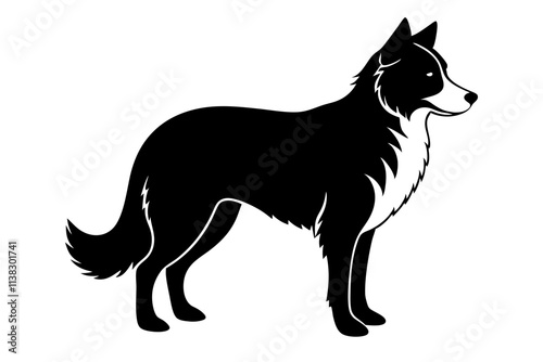 Border Collie Silhouette Vector Illustration of an Agile Dog with a Distinctive Stance