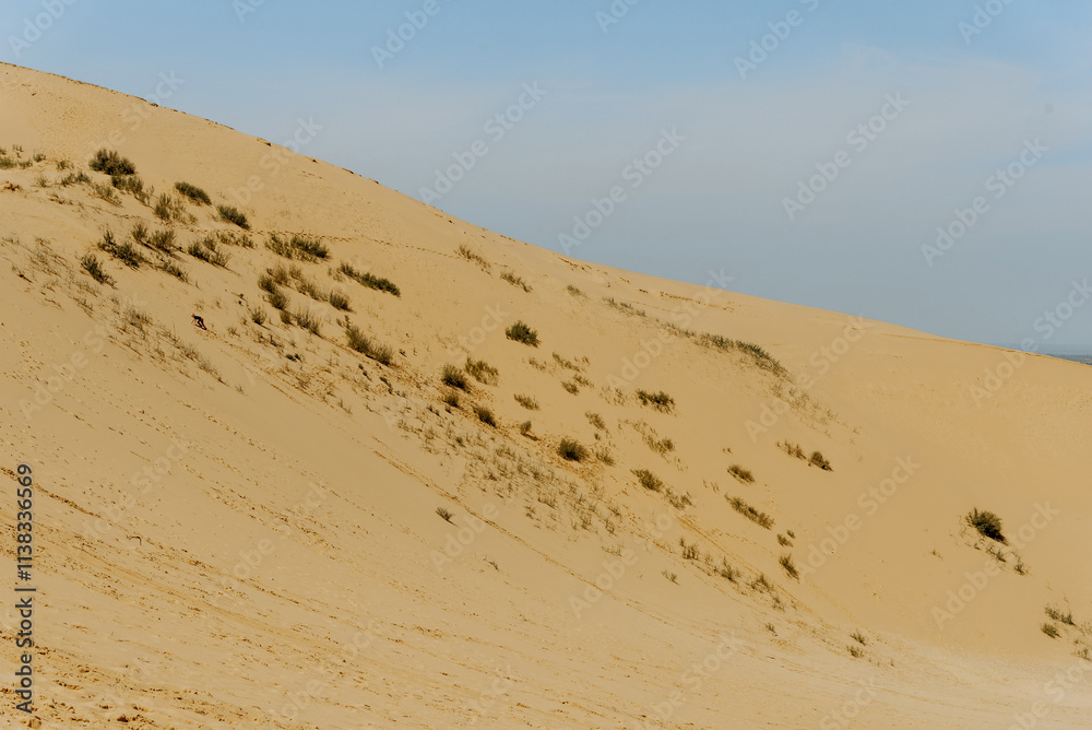 Desert landscape, sandy orange dunes, sunny wilderness
