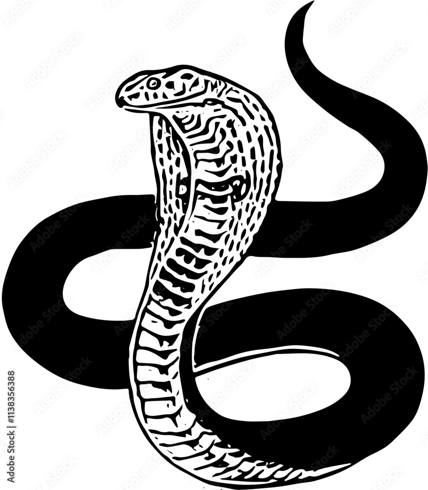 Fototapeta premium black and white snake