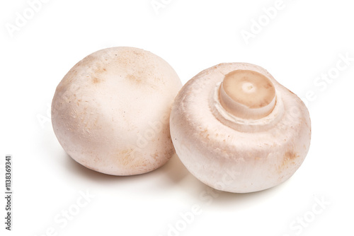 Photography Champignon mushrooms, isolated on white background.