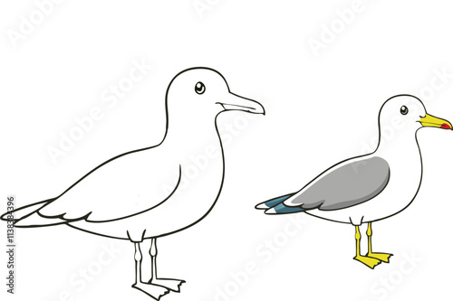 A ring-billed gull coloring page features a bird with a distinct black ring around its yellow bill, white body, gray wings, and yellow legs, set against a simple background.