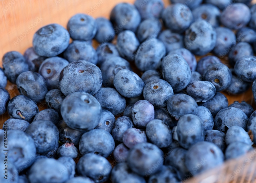 Close-up shot of ripe organic blueberries in a plastic box. Close-up shot of ripe organic blueberries in a plastic box.