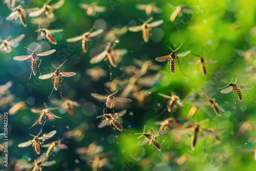 Mosquitoes Invasion: Seasonal Swarming Insects in Bright Summer Nature Background