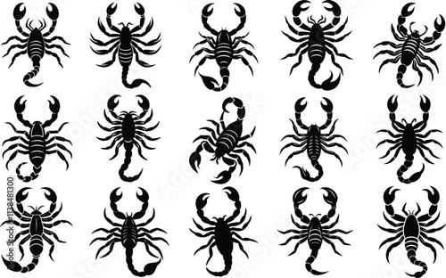 Set Of  Scorpion Silhouette Vector Illustration photo