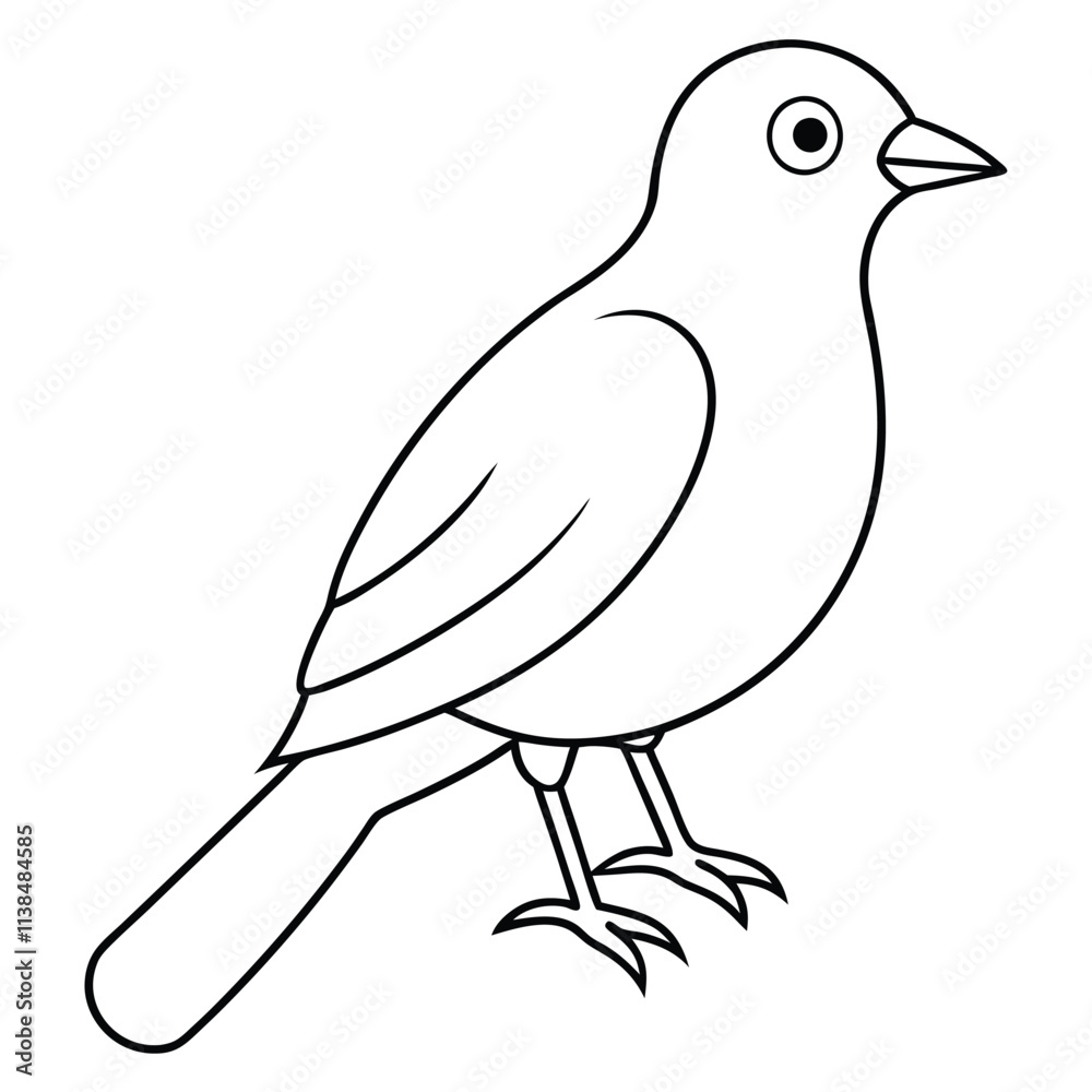 Fototapeta premium A cute bird vector art line for coloring pages