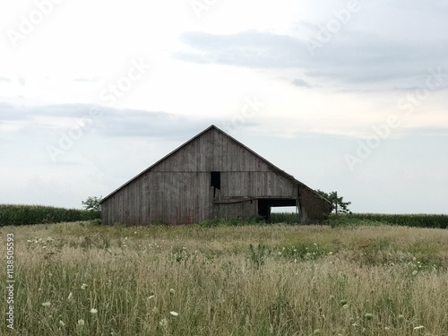 old barn in the field