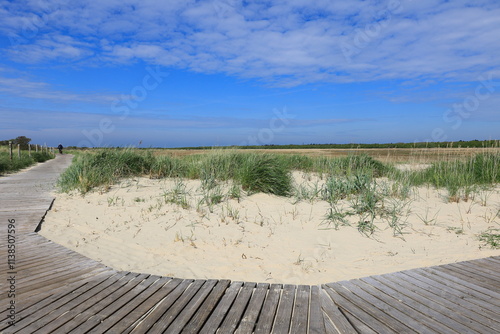 Steg für Fußgänger in den Salzwiesen auf der Insel Borkum photo